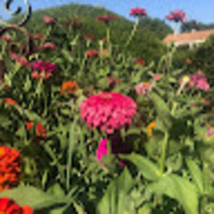 Meet your Posher, Samantha